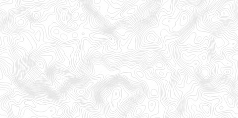 White wave paper curved reliefs abstract background. Lines Topographic contour lines map seamless pattern. Landscape geo topographic map background.