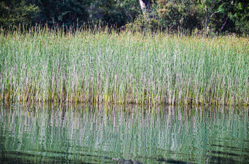 Paisajes de la Patagonia argentina 