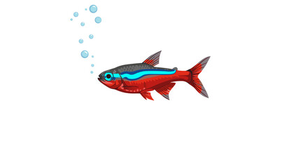 Colorful fish swimming with bubbles in a white background