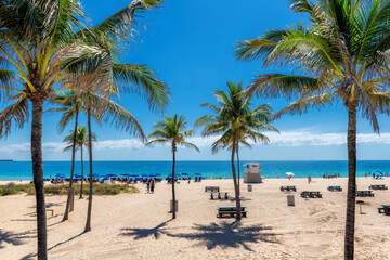 Obraz premium Beautiful palm trees in tropical sunny beach and beach umbrellas in Fort Lauderdale Beach Park, Florida