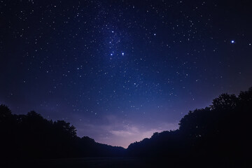 Night sky filled with twinkling stars, silhouettes of tall trees contrasting the dark backdrop, creating a serene and enchanting evening scene.