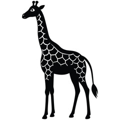 Naklejka premium cute giraffe vector illustration - black and white stylized outline of an elegant animal