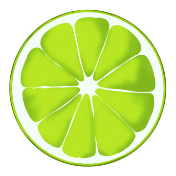 lime slice green fruit isolated clip art preview