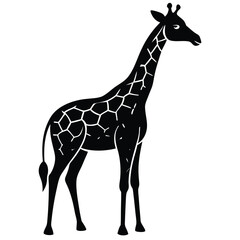 Naklejka premium cute giraffe vector illustration - black and white stylized outline of an elegant animal