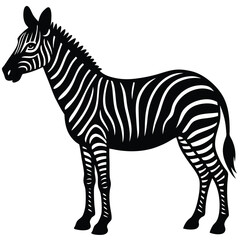 zebra black and white vector illustration