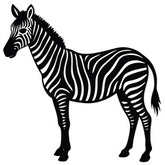 Fototapeta premium zebra vector illustration