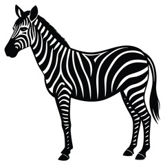 zebra black and white vector illustration