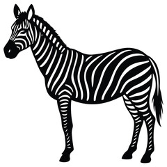 zebra black and white vector illustration