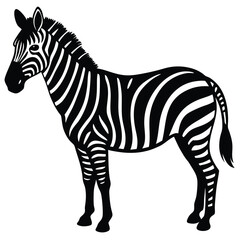 zebra black and white vector illustration