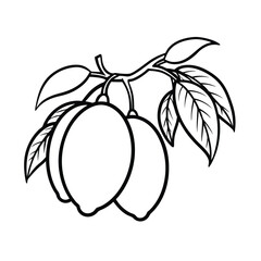 Black and white outline illustration of fresh lemons with leaves on a branch