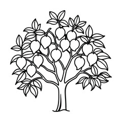 Obraz premium Mango tree outline drawing vector illustration full of mangoes and leaves isolated on white