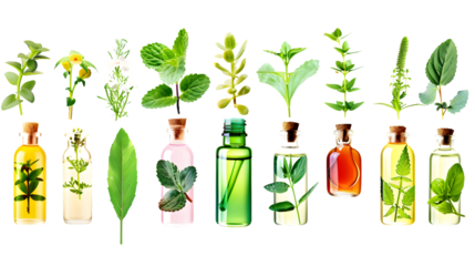 Botanical Essence Cosmetic Plant Extract Isolated on White Background for Skincare Products Concept