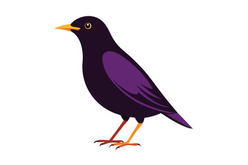 a--starling-vector-art-illustriton-white-baground.eps