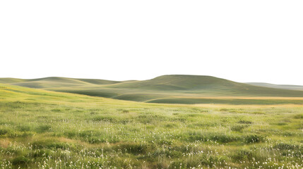 Obraz premium Serene Inner Mongolia Grassland Landscape on White Background - High-Quality Stock Photo