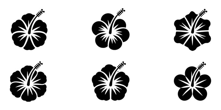 Hibiscus, Set of hibiscus. Collection of tropical chaba flower buds. Set of silhouettes of tropical flowers. Black and white drawing of spring plants. Tattoo, set of black and white flowers. Hibiscus