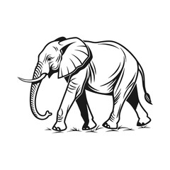 elephant line line art vector silhouette