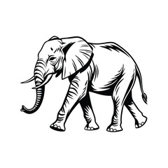 elephant line line art vector silhouette