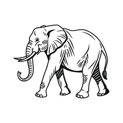 elephant line line art vector silhouette