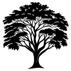 Obraz premium Monochrome silhouette of a majestic tree against a stark white background