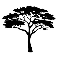 Silhouette of a large broad canopy tree with thick foliage and branches