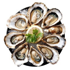 Eight Fresh Oysters with Lemon and Parsley, Isolated on Transparent Background, Seafood, Food Photography, Appetizer, oysters, seafood, food