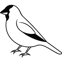 American Goldfinch line art vector isolated on white background