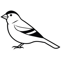 American Goldfinch line art vector isolated on white background