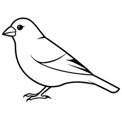 American Goldfinch line art vector isolated on white background