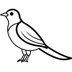 Cuckoo line art isolated on white background 