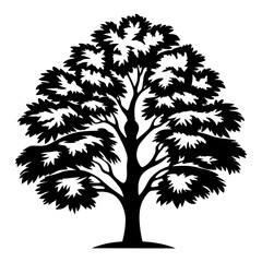 Obraz premium Silhouette of a tree with abundant foliage against a white background