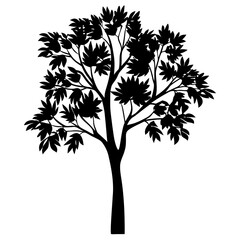 Obraz premium Striking silhouette of a tree with lush foliage against white background