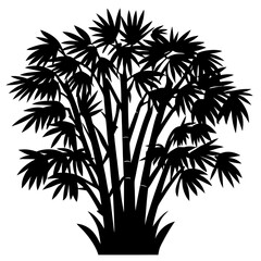 Obraz premium Black Silhouette of Fan Palm Tree Clump on White Background Illustration