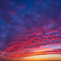 Fototapeta premium beautiful background of the evening sky with clouds. evening clear sky with small fluffy clouds. a banner with a gently purple pink sunset., hd