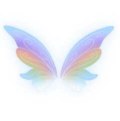 Beautiful fairy wings