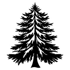 Silhouette of a majestic evergreen tree standing tall against a white backdrop