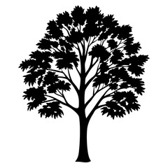 Obraz premium Black tree silhouette against white background demonstrating natural beauty and minimalism