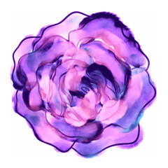 beautiful rosebud, watercolor illustration. hand drawing