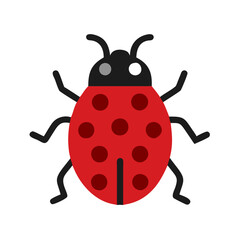 Cute red and black ladybug isolated on black background