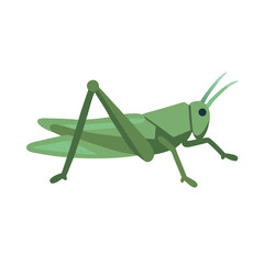 Cartoon Green Grasshopper Isolated on Black Background Illustration