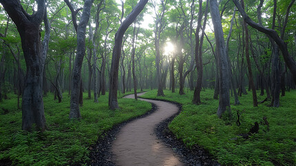 Fototapeta premium Serene path winds through a lush forest sunlight filtering through the trees casting long shadows on the ground covered