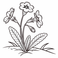 vector illustration of flowers