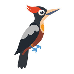 Cute Cartoon Woodpecker Illustration on Black Background