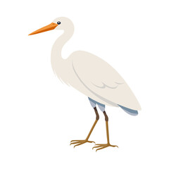 Simple Isolated White Egret Bird With Orange Beak