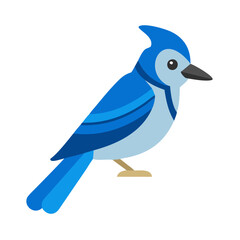 Illustration of a Blue Jay Bird on Black Background