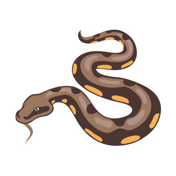 Brown and Yellow Spotted Snake Illustration on Black Background