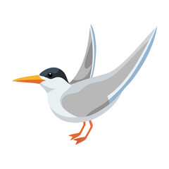 Elegant illustration of a Forster's tern in flight