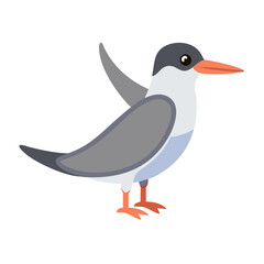Cute Cartoon Tern Bird Illustration with Flat Design