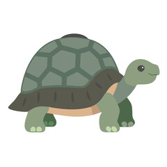 Cute Cartoon Turtle Illustration Isolated on Black Background