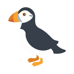 Cartoon Puffin Illustration with Flat Design on Black