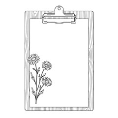 Daisy flowers illustration on clipboard background